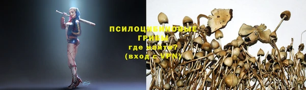 ГАЛЛЮЦИНОГЕННЫЕ ГРИБЫ Армянск