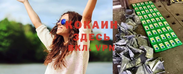 прущая мука Арсеньев